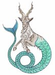 Capricorn