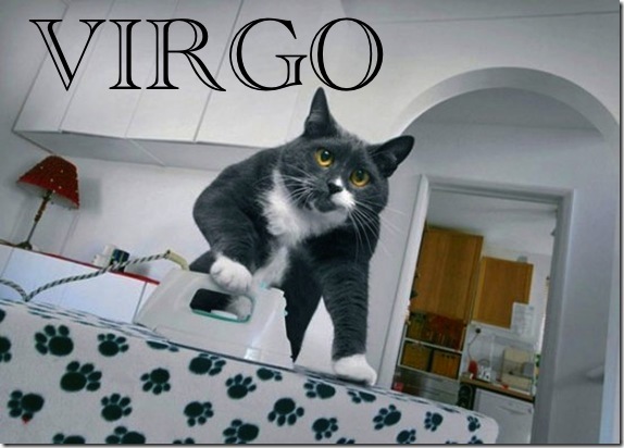 cat_maid_1_funnypagenet_com