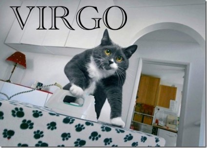 cat_maid_1_funnypagenet_com