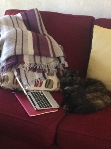 Babycatt takes a break from writing her memoir.