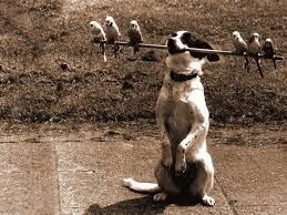 image001