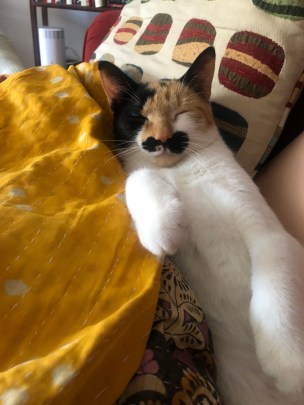 lil bit Leo